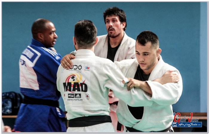 STAGE JUDO MADRID 14 00009